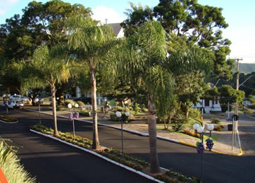 Foto cabeçalho 1